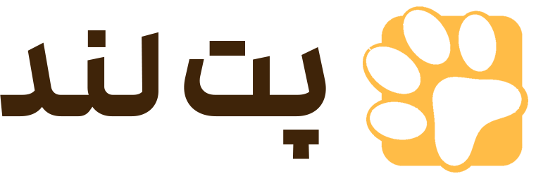 رنگ ابزار
